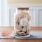 Cylindrical Terrarium Jar with Cork By Ashland®